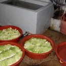 상주식당 이미지