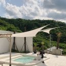 코스타리몬 이미지