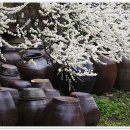 산수마을 이미지