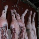 신정축산 이미지