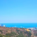 삼익비치B상가시장 | 부산 벚꽃 명소 2탄 황령산 삼익비치 드라이브 반나절 코스 추천