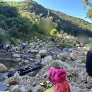 대운산매점 | [아이랑 울산, 아이랑 계곡] 🏞 아이랑 함께 대운산 내원암 계곡 후기