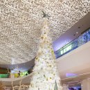 에스베이몰 | 필리핀 마닐라 여행 실내 가볼만한곳 에스메종