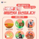 청명 이미지