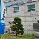 창바우(신창2리)어촌체험휴양마을 | 포항 해수욕장 신창간이해변 해안도로