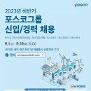 개인화물891 | 9월1일 채용공고(DB그룹, DB 하이텍, 포스코, LG CNS, 포스코 DX, 포스코 퓨처엠, 한화에어로스페이스...
