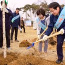 두그루나무 이미지