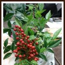 부경고 2 이미지