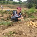 음봉초등학교 이미지