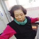 금발미장원 - 군산시 | 금발미장원