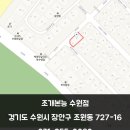 조개본능 이미지