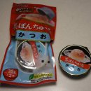 제이캣 | 이나바 캣 챠오 츄르 제이타크 퐁츄르 가다랑어 35g 후기 | 기호성 좋은 고양이 간식 추천