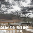 명상 - 자연 | 오대산 옴뷔 자연 명상 마을 싱글룸 혼자 방문 후기