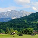 알프스동물병원 이미지