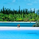 파라다이스 이미지