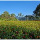 포레스트 카라반 랜드 이미지