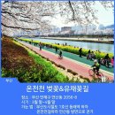 부산 경남 축제 정보입니다. 이미지