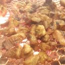 돈마을화로숯불갈비