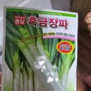 장파농장 | 베이비부부 주말농장 모종심기, 주렁주렁오이 신품종 바카 , 흑금장파 씨앗 심기, 3월 작물