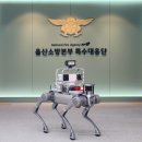 코비즈