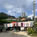 한체대임병문태권도 이미지