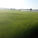 춘자펜션 이미지