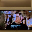 스테이인숲 이미지