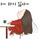 달빛상점