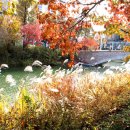 석촌공원길 이미지