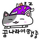 이룸핏 이미지