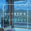 양촌면사무소 | 논산 양촌자연휴양림 숲속의 집 동백 A~D동 비교, 신축 독채 동백 B동 숙박 후기와 다자녀 30% 할인받기