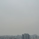 보성여자고등학교 | [해방촌 루프탑카페 리암스카페바] 달콤한 컵케이크 힐링 후기 분위기 맛집 ✨