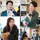 페츠하임 이미지