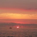 미리내 농장 이미지