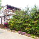 청도편백숲하우스 이미지