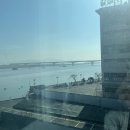 김해공항 브라운도트 명지점 네이버블로그