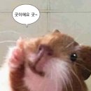 그린피부과의원 이미지