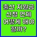 복불복PC게임장 | 출산 지원금 신청, 언제·어떻게 해야 할까?