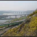 응봉산 팔각정 이미지