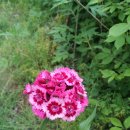 옥계남로5길-1 이미지