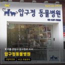 압구정메이트동물병원 이미지