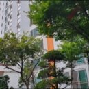 솔뫼아파트 이미지