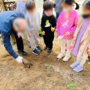 기흥해맑은어린이집 이미지