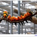 경주버드파크 이미지