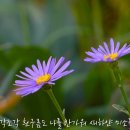 가을은 참 예쁘다 - 박강수 이미지