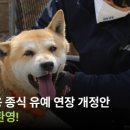 두잉에듀 이미지