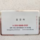 르네셀피부샵