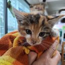 서하남로 이미지