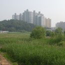 양지저수지 이미지