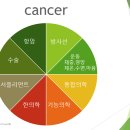 암 치료에 미치는 영향력을 평가하고 선택하여야 합니다 이미지